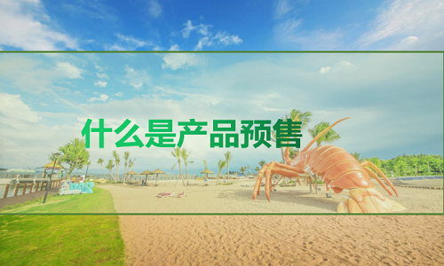 <b>網(wǎng)店代運營：預售商品是什么意思？</b>