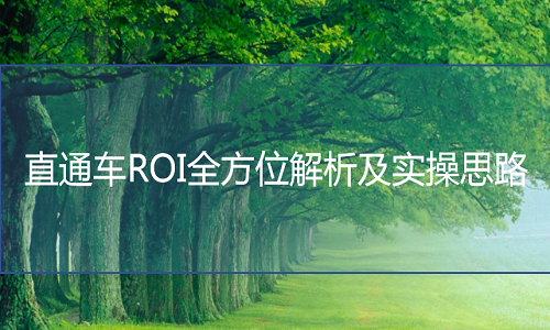 <b>淘寶代運營-直通車ROI全方位解析及實操思路</b>