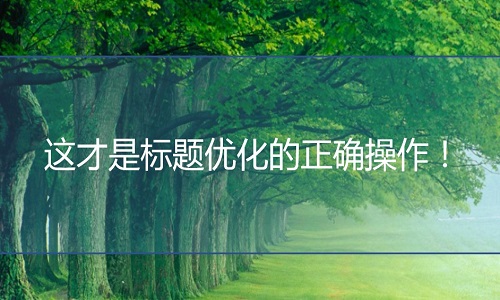 <b>網(wǎng)店托管：這才是標(biāo)題優(yōu)化的正確操作！</b>