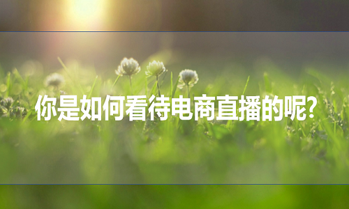 <b>淘寶代運營：你是如何看待電商直播的呢?</b>