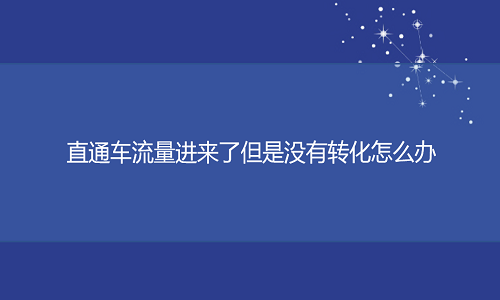 <b>直通車流量進(jìn)來了但是沒有轉(zhuǎn)化怎么辦？</b>