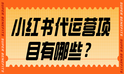 <b>小紅書代運營項目有哪些？</b>