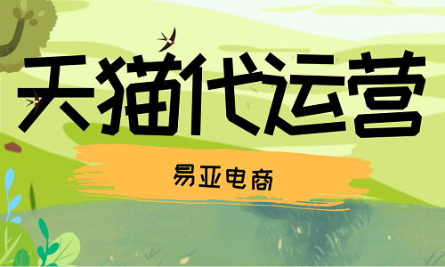 <b>天貓代運(yùn)營(yíng)服務(wù)商服務(wù)內(nèi)容</b>