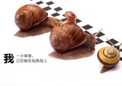 <b>客戶資源維護(hù)好=高級(jí)免費(fèi)直通車</b>