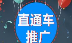 <b>淘寶代運(yùn)營(yíng)：如何知道淘寶店鋪是否適合利用直通車來進(jìn)行推廣</b>