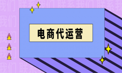 京東代運(yùn)營公司介紹